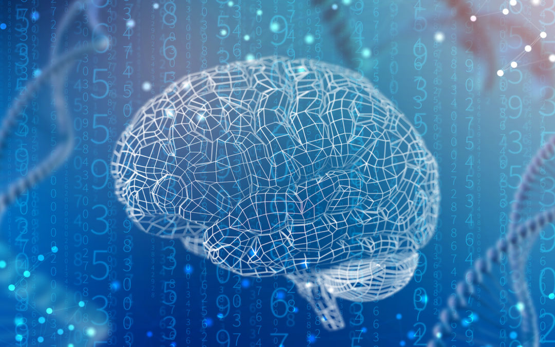 The importance of Neuroscience for the business World